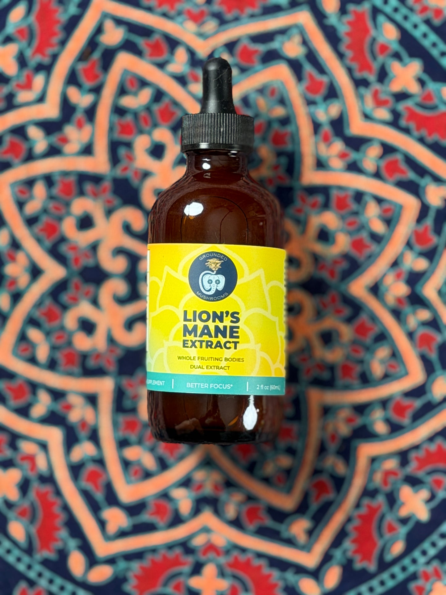 Lion's Mane Extract 4fl oz